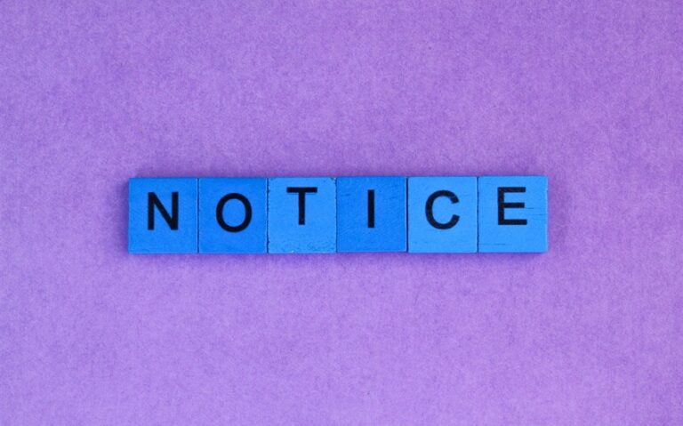 The Habit of Noticing That Makes Ordinary Days Feel Richer Over Time